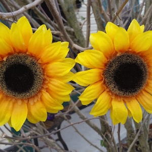 Sunflower Earrings CUSTOM