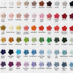 Pode incluir: Uma cartela de cores com sessenta pequenos motivos florais bordados dispostos em seis linhas de dez. Cada flor est&aacute; rotulada com o nome da cor correspondente em texto preto, variando de tons neutros e rosas a vermelhos, laranjas, verdes, azuis e roxos vibrantes.
