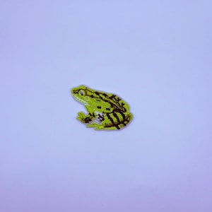 Könnte beinhalten: Ein gestickter Aufnäher, der einen Frosch im Seitenprofil zeigt. Der Frosch ist in leuchtenden Limettengrüntönen und Dunkelbraun gehalten, mit detaillierten Stickereien, die seine Gliedmaßen, Augen und die Hautstruktur auf hellem Untergrund definieren.