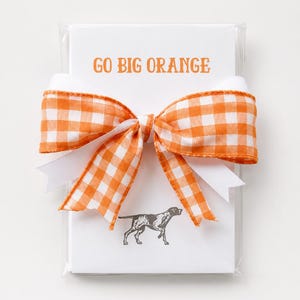 May include: A stack of white rectangular note cards wrapped in clear plastic, featuring the orange text GO BIG ORANGE and a grey dog illustration. The stack is tied with a decorative orange and white gingham ribbon and a white ribbon.