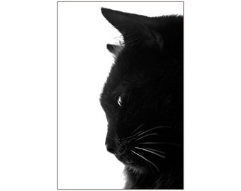 Black Velvet Cat Photo, Black and White, Animal Photography, Pretty Kitty, Cat Profile, Black Cat