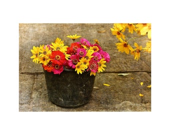 Market Flowers Photo, Florence Italy, Summer Colors, Fuchsia Hot Pink, Yellow Daisies, Garden Art