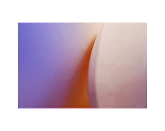 Sensuous Curve Photo, Abstract Photography, Large Wall Art, Purple Peach Egg, Orange, Cream