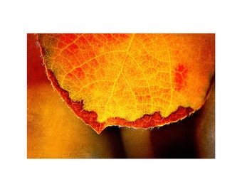 Honey Gold Leaf Photo, Macro Photography, Fall Home Decor, Rust Red, Autumn Colors