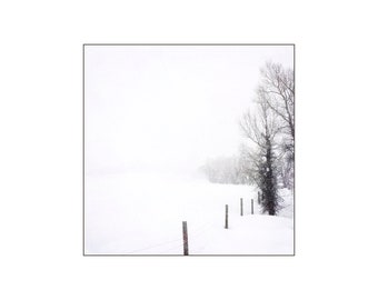 May include: A snowy landscape with a wooden fence post and a line of trees in the distance. The snow is falling and the sky is white.