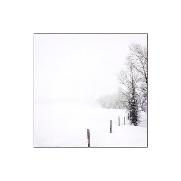 Winter Storm, Snow Photography, Fence, Trees, Ranch, Black and White