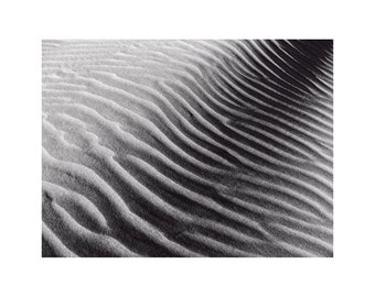 Zebra Stripes, Sand Dune Photography, Abstract Art, Black and White Photo