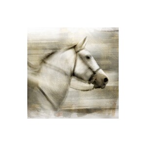 May include: A white horse with a brown bridle runs through a blurred background of brown and white.