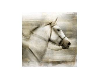 White Horse Photo, Horse Art, Animal Photography, Cowboy, Provence, France, Home Decor