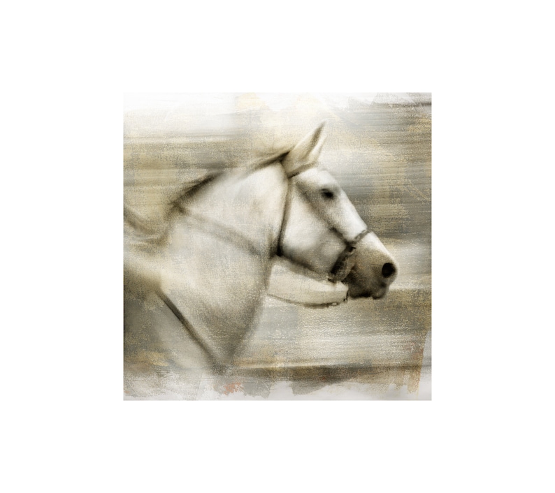 May include: A white horse with a brown bridle runs through a blurred background of brown and white.