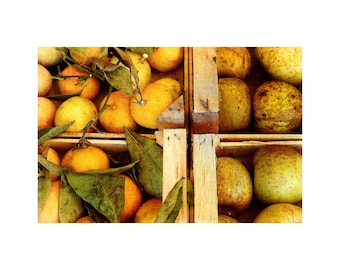 Apples Oranges Photo, Tuscany Market, Kitchen Art, Harvest Gold, Autumn Colors, Food Photography