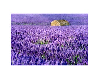 Provence Lavender Photo, Stone Building, Travel Photography