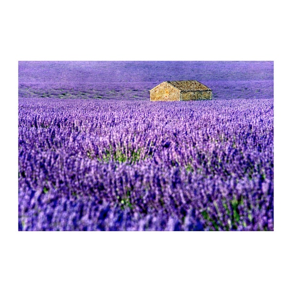 Provence Lavender Photo, Stone Building, Travel Photography