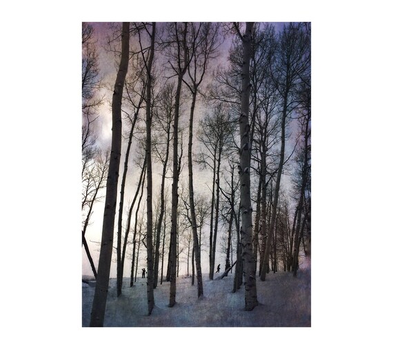 Aspen Trees Winter Woodland Ski Cabin Decor Snow Etsy