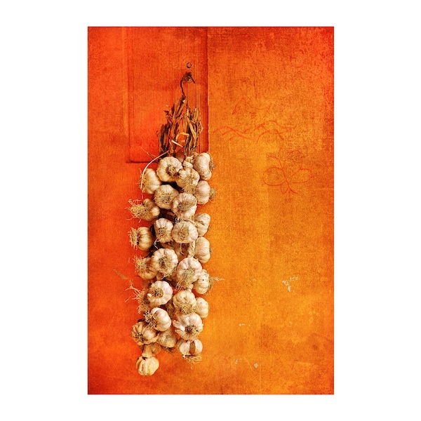 Italian Garlic Photo, Kitchen Decor, Food Photography, Italian Market