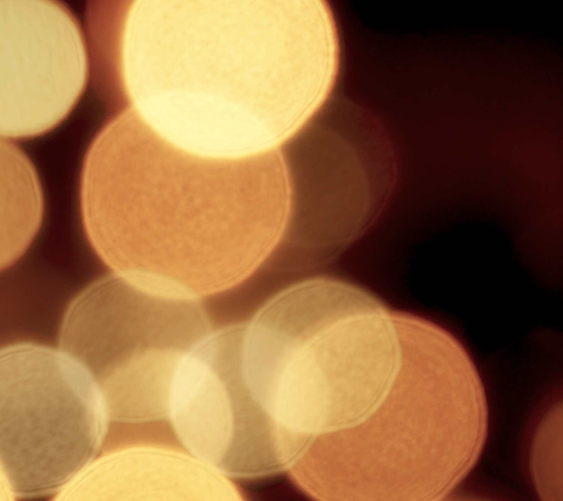 Licht &amp; Magic foto Twinkle Sparkle mysterie nacht Etsy