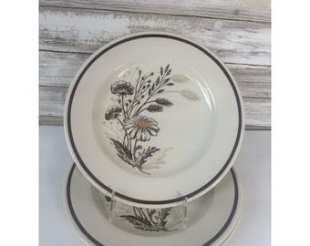 Platos llanos Royal China Americana (3) Autumn Mist de 26,7 cm (10 1/2") estilo vintage de los años 70.
