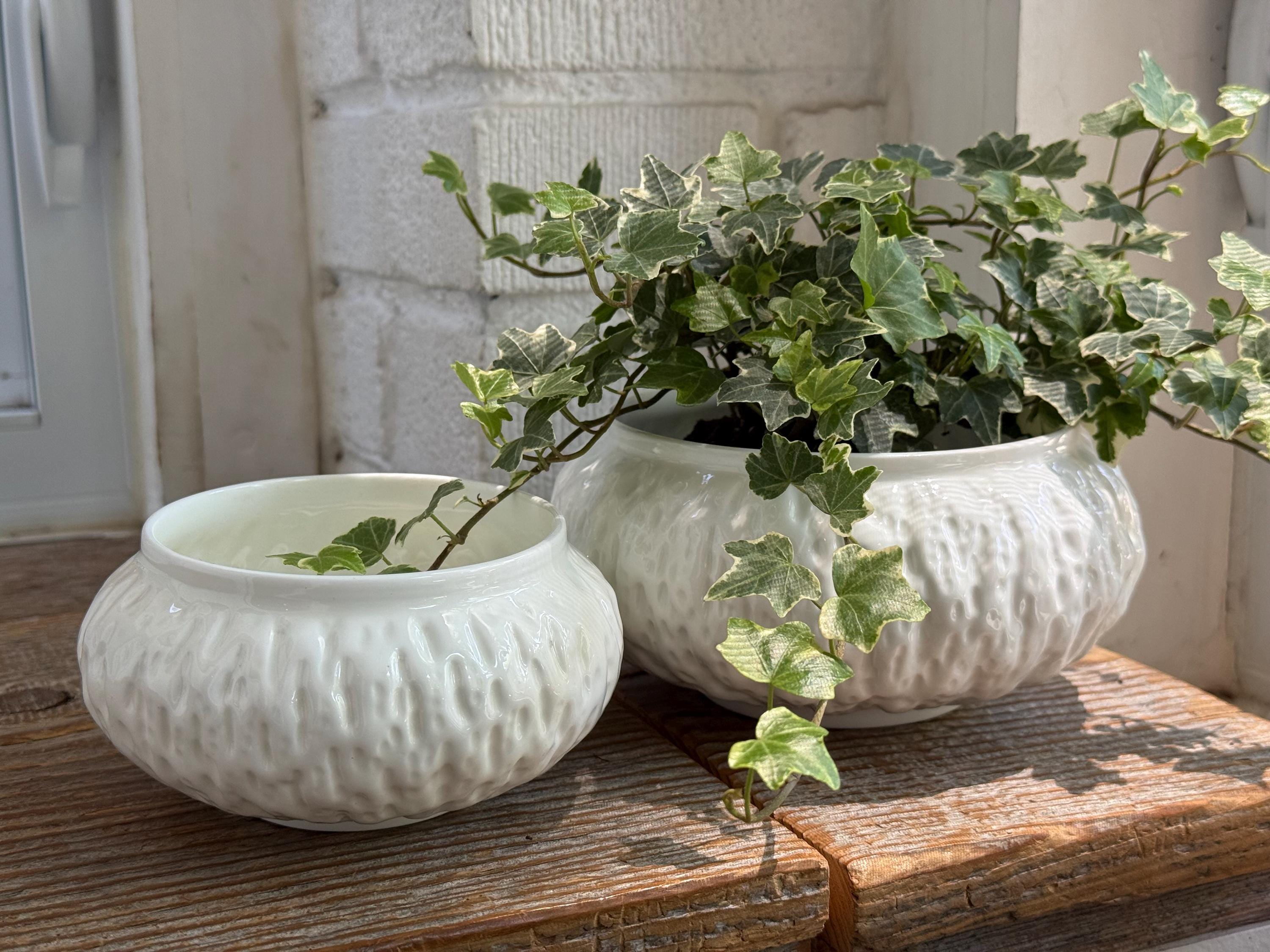 Coalport Flower Pot - Etsy