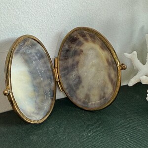 May include: An open, oval-shaped hinged box featuring two polished, iridescent seashell halves framed in a metallic gold-toned border. The interior of the shells displays natural swirling patterns in shades of cream, gray, and dark brown.