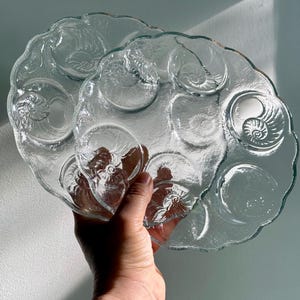 May include: Two clear glass plates featuring a textured surface with multiple circular indentations, each embossed with a detailed spiral seashell pattern. The plates have a scalloped edge and a translucent finish, designed for serving food.