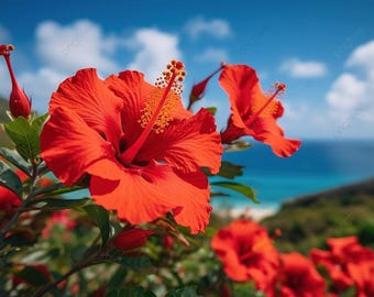 Plántulas de hibisco rojo – Plantas vivas – Plantones para jardín, patio y espacios para polinizadores