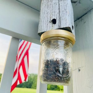 Carpenter Bee Trap Adapter STL/3MF File