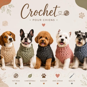 Op de afbeelding: Vijf honden dragen gehaakte truien met textuur in beige, olijfgroen, donkergrijs, oudroze en leisteenblauw. De afbeelding bevat de tekst Crochet POUR CHIENS, samen met iconen voor handgemaakt, comfortabel, elegant, liefde en kwaliteit.