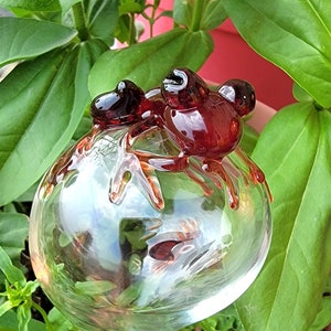 May include: A clear glass watering globe featuring a decorative dark red glass frog perched on top. The frog has a smooth, glossy finish and is fused to the spherical reservoir, which is designed to hold water for plant hydration.