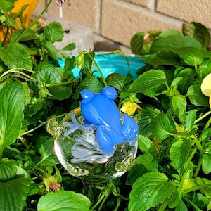 May include: A bright blue glass frog figurine with black eyes, perched atop a clear, spherical glass base that features small, textured, light green glass accents along its bottom edge, creating a decorative garden ornament.
