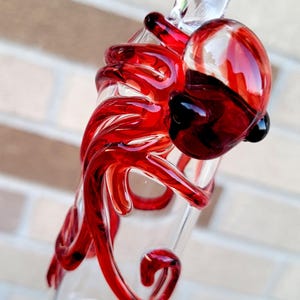 Kolibrievoeder Octopus