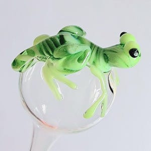 Plant Waterer Lizards