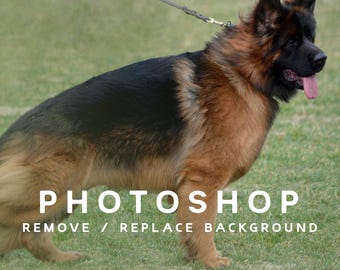 Photoshop Help - Background Removal - Graphic Design Services