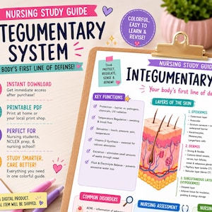 May include: A nursing study guide for the integumentary system printed on a clipboard. The document features colorful diagrams of skin layers, including the epidermis, dermis, and hypodermis, alongside text detailing key functions and common disorders.