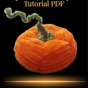 May include: A craft project featuring a pumpkin made from orange pipe cleaners with a green pipe cleaner stem. The text Pipe Cleaner Pumpkin Tutorial PDF is at the top, and Chenille Tutorials PDF is at the bottom against a black background.