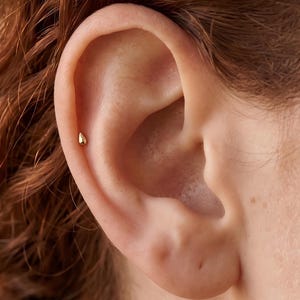 May include: A small, polished gold stud earring shaped like a teardrop. The earring is positioned in the upper cartilage area of the ear, featuring a smooth, reflective surface and a minimalist design that sits flush against the skin.