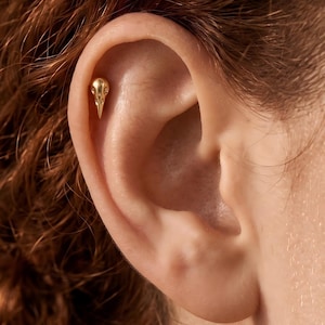 May include: A small, polished gold-toned earring stud shaped like a bird skull. The piece features a smooth, rounded cranium and a pointed beak, securely positioned in the upper cartilage of the ear, showcasing a metallic finish and detailed form.