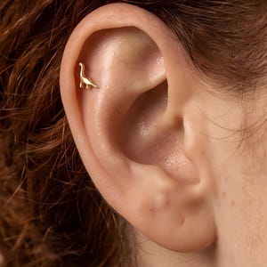 May include: A small gold-toned earring shaped like a long-necked dinosaur, specifically a sauropod, positioned in the upper cartilage area of the ear. The earring features a smooth, polished finish and a minimalist silhouette of the prehistoric creature.