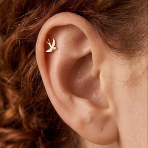 May include: A small gold-colored earring shaped like a bird in flight, positioned in the upper cartilage of the ear. The earring features a polished metallic finish and a detailed silhouette of a swallow with wings spread wide in a soaring pose.