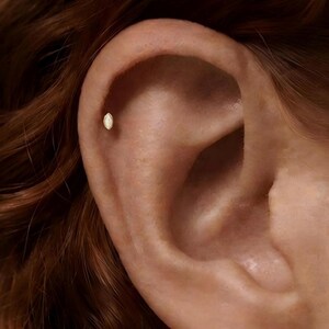 May include: A small, marquise-shaped gold stud earring with a central white inlay, positioned in the upper cartilage of an ear. The earring features a pointed, elongated oval design with a metallic gold border surrounding a smooth, light-colored stone.