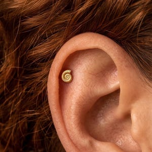 S925 Sterling Silver・Gold Plated・Seashell Stud Earring・Flat Back Piercing・Nautilus Shell Ear Jewelry・Beach Vacation Gift