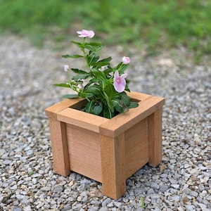 May include: A square wooden planter box constructed from light brown cedar planks with vertical corner posts and a flat top rim, containing a green plant with small, five-petaled light pink flowers blooming from the center of the container.