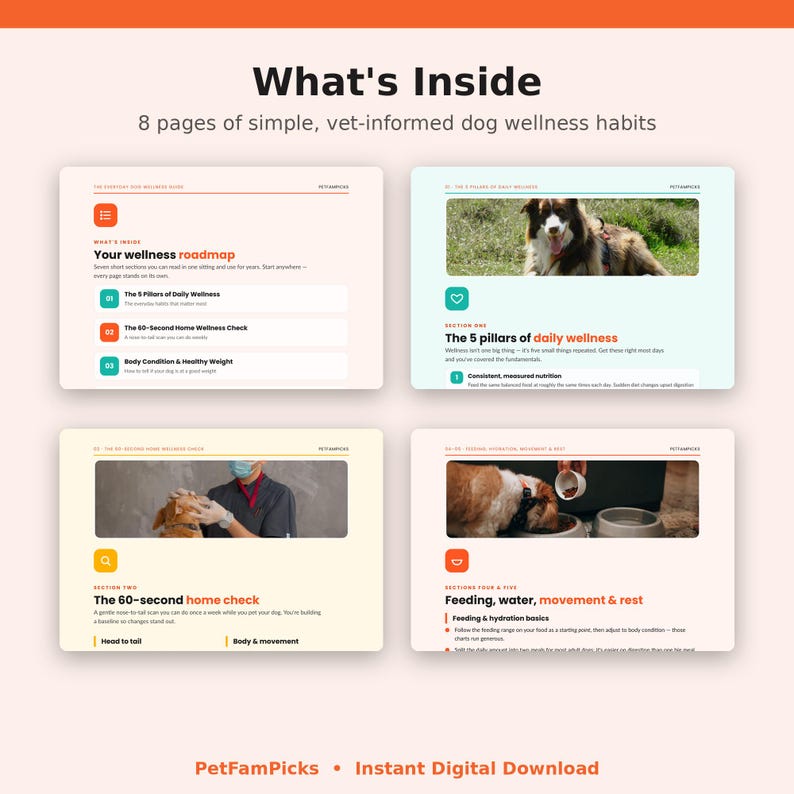 Wellness-Leitfaden für Hunde druckbare PDF-Datei, Checkliste für die gesunde Hundepflege & Tagesablauf, Gesundheitstipps für Welpen und ältere Hunde, Geschenk für neuen Hundebesitzer Bild 3