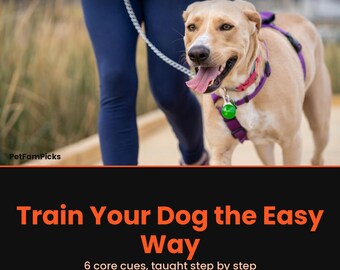 Hundetraining Basics druckbare PDF, Welpen Gehorsamkeits-Anleitung, Teach Sit Down Come Stay, positive Belohnungstraining für neue Hundebesitzer