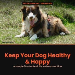 Wellness-Leitfaden für Hunde druckbare PDF-Datei, Checkliste für die gesunde Hundepflege & Tagesablauf, Gesundheitstipps für Welpen und ältere Hunde, Geschenk für neuen Hundebesitzer Bild 1