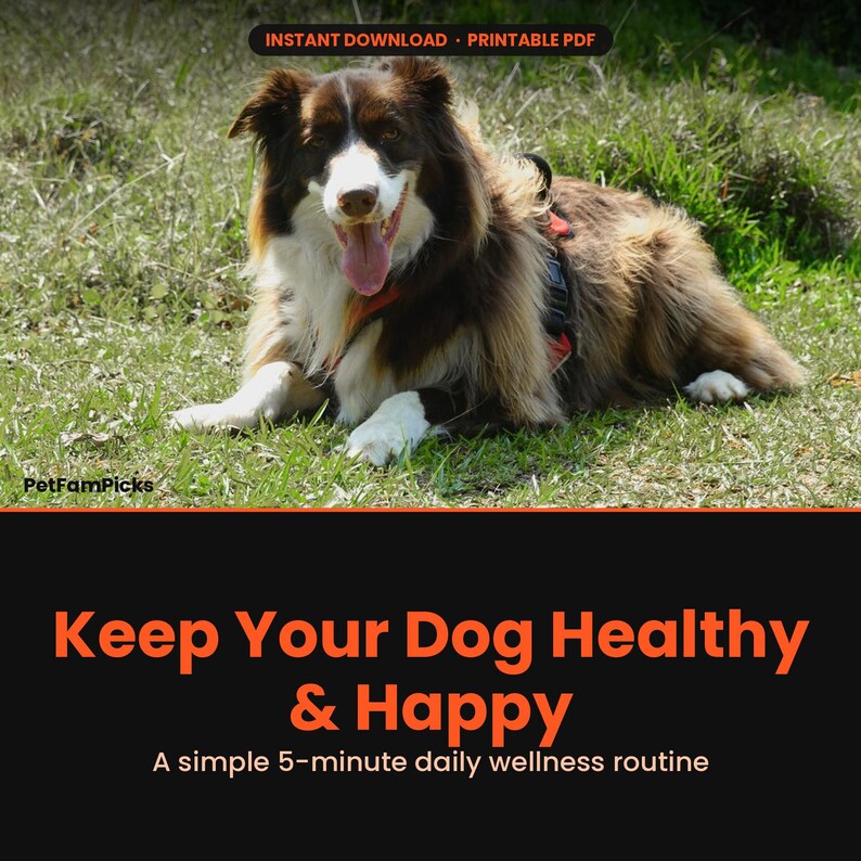 Wellness-Leitfaden für Hunde druckbare PDF-Datei, Checkliste für die gesunde Hundepflege & Tagesablauf, Gesundheitstipps für Welpen und ältere Hunde, Geschenk für neuen Hundebesitzer Bild 1