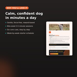 Grunderna i hundträning, utskrivbar PDF, lydnadsguide för valpar, lär ut sitta ner, kom och stanna, positiv belöningsträning för nya hundägare bild 4