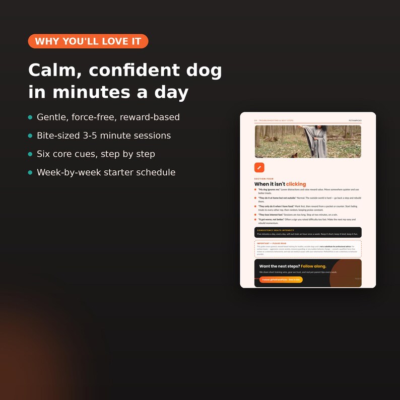 Grunderna i hundträning, utskrivbar PDF, lydnadsguide för valpar, lär ut sitta ner, kom och stanna, positiv belöningsträning för nya hundägare bild 4