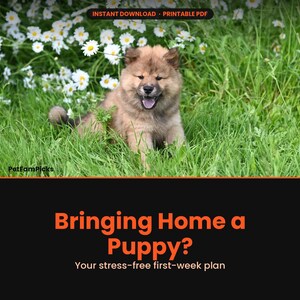 Peut inclure: Un document num&eacute;rique intitul&eacute; Bringing Home a Puppy? Your stress-free first-week plan, montrant un chiot brun touffu assis dans l'herbe verte parmi des marguerites blanches. La banni&egrave;re sup&eacute;rieure indique Instant Download, Printable PDF.