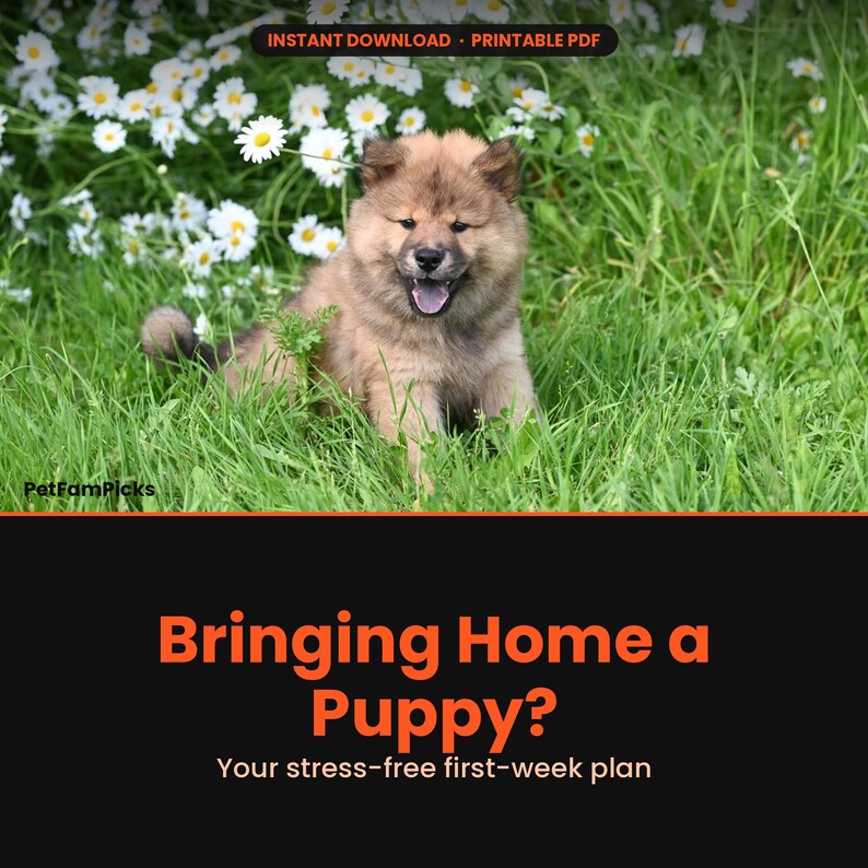 Peut inclure: Un document num&eacute;rique intitul&eacute; Bringing Home a Puppy? Your stress-free first-week plan, montrant un chiot brun touffu assis dans l'herbe verte parmi des marguerites blanches. La banni&egrave;re sup&eacute;rieure indique Instant Download, Printable PDF.