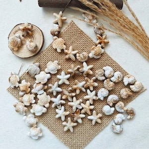 May include: A collection of small, light brown and white ceramic beads shaped like sea turtles, starfish, and spiral seashells. The beads are scattered across a square piece of tan burlap fabric, with some arranged on a small wooden slice.